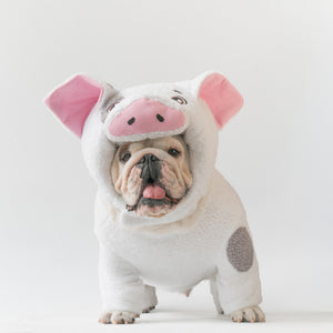 WONTON KuneKune Piglet costume