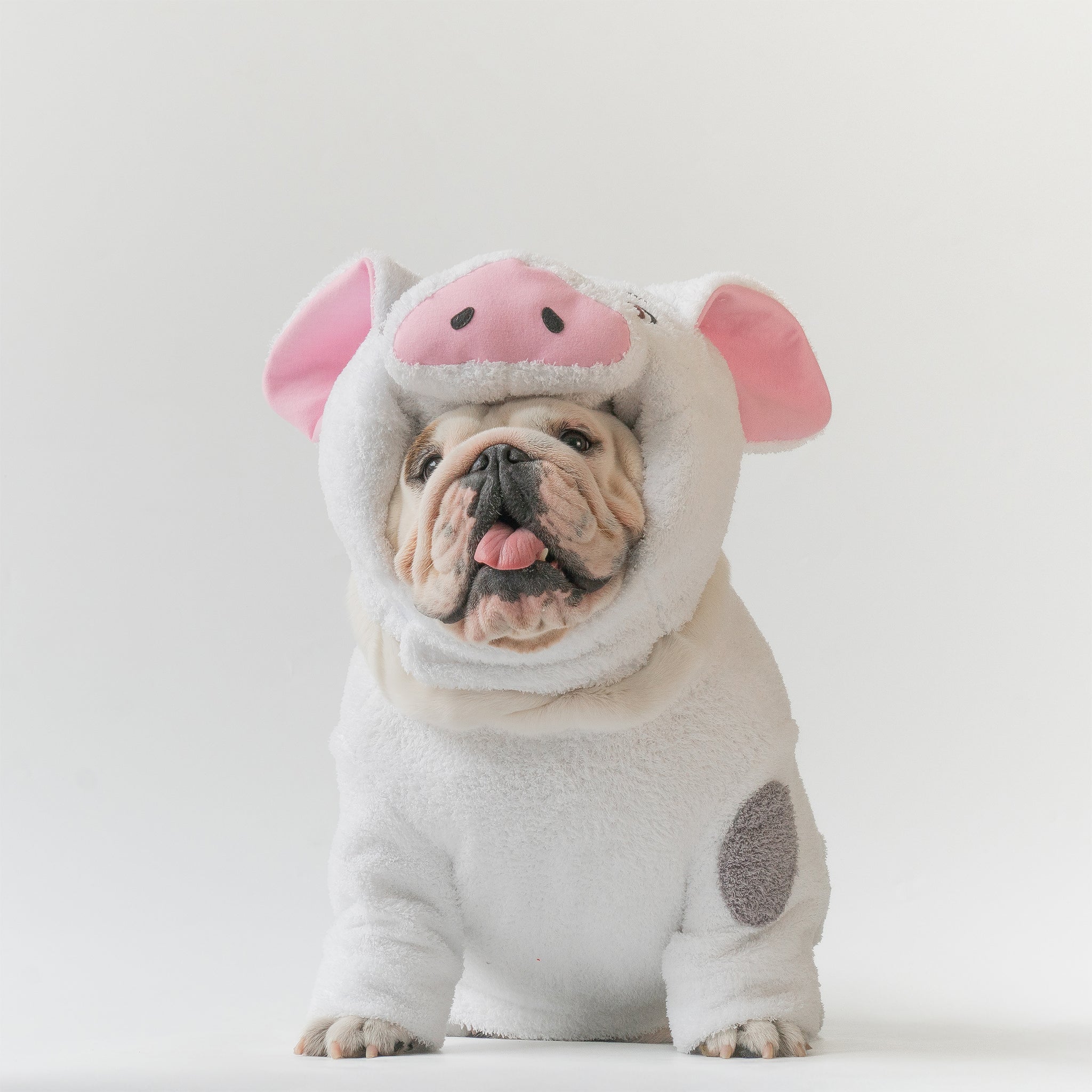 WONTON KuneKune Piglet costume