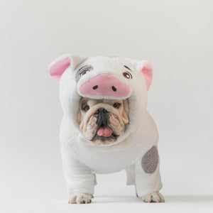 WONTON KuneKune Piglet costume