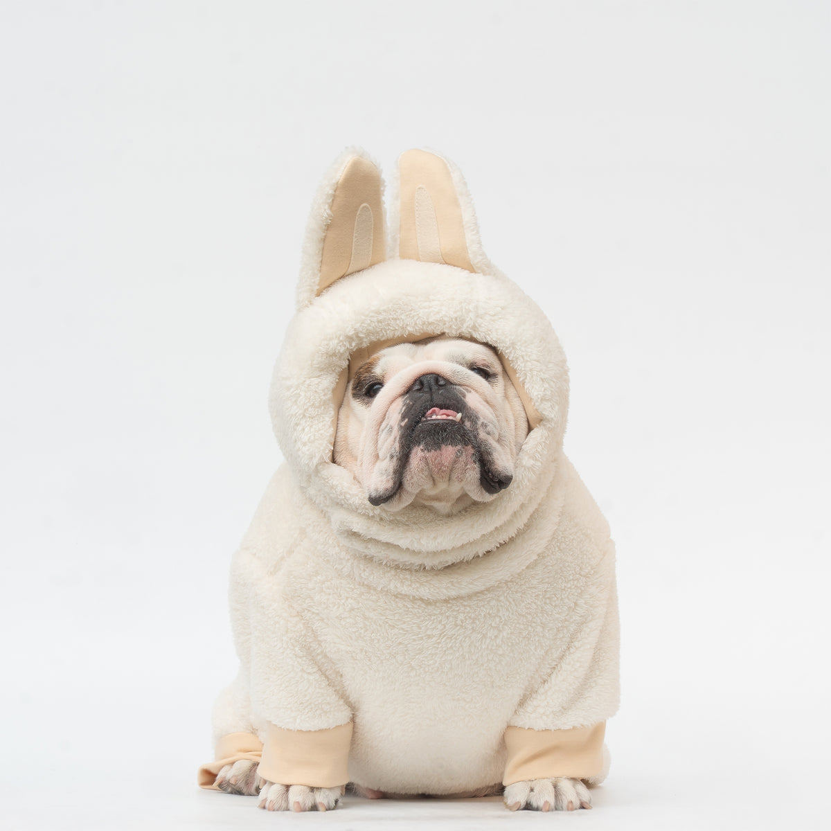 WONTON LaBully in cream