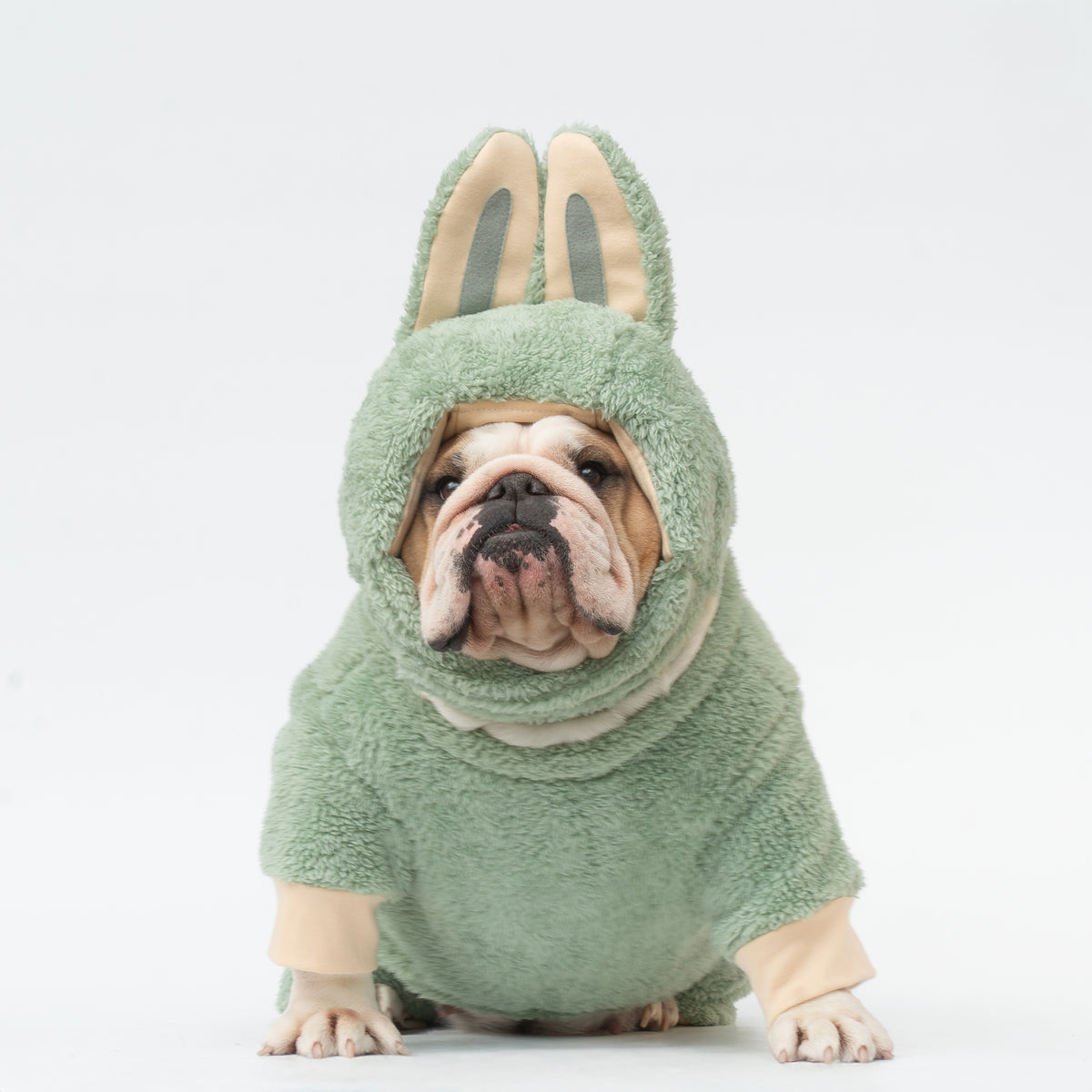 WONTON LaBully in green