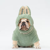 WONTON LaBully in green