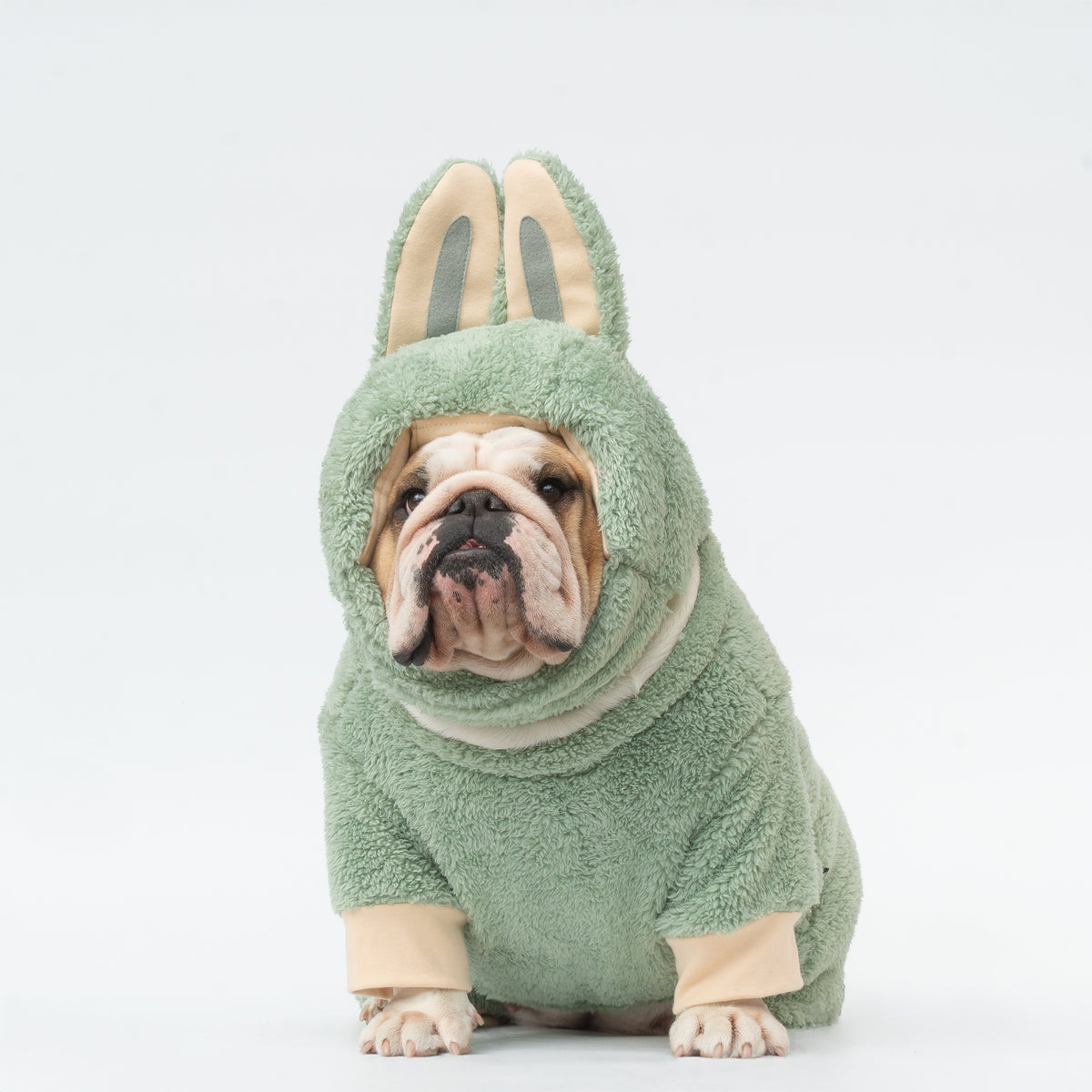 WONTON LaBully in green