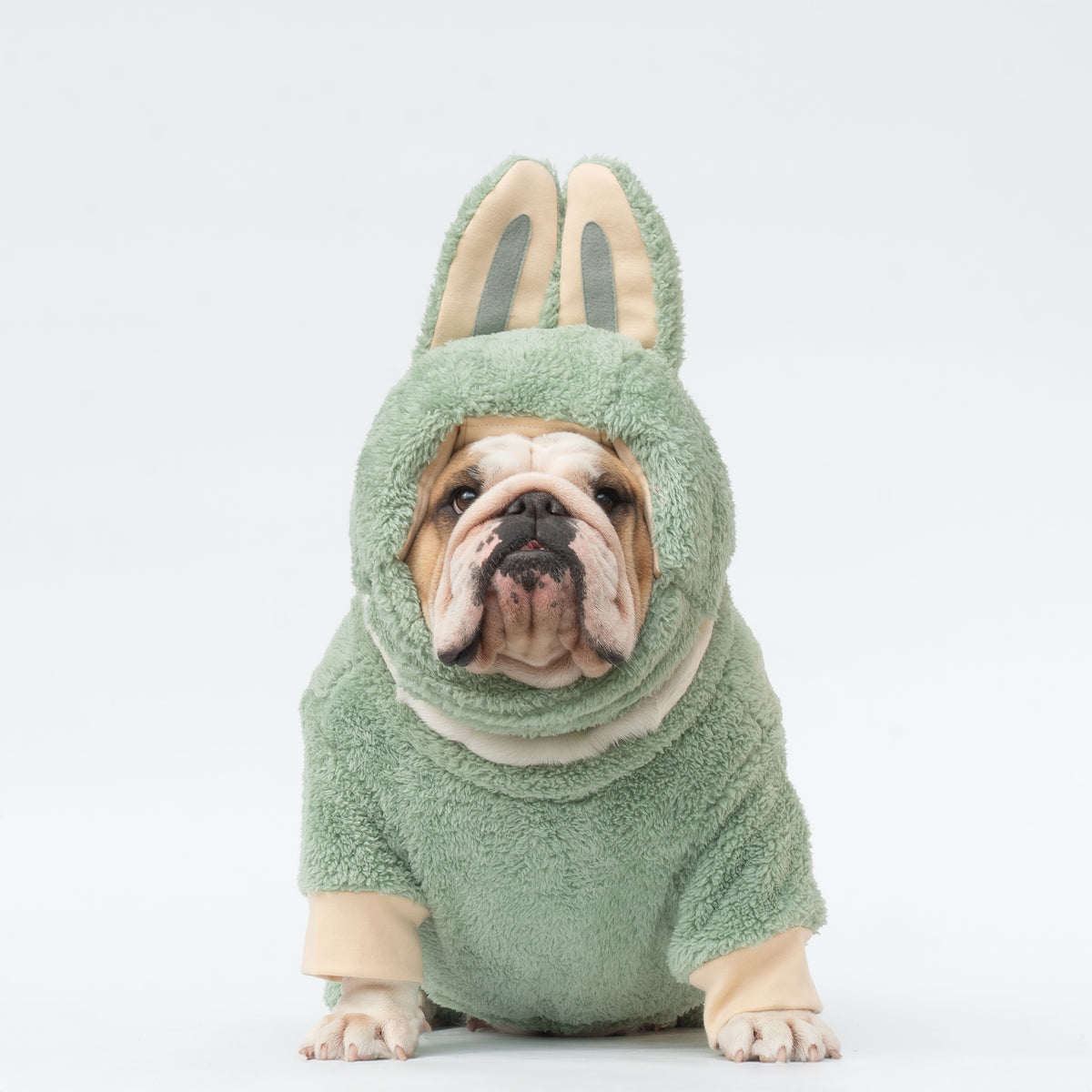 WONTON LaBully in green