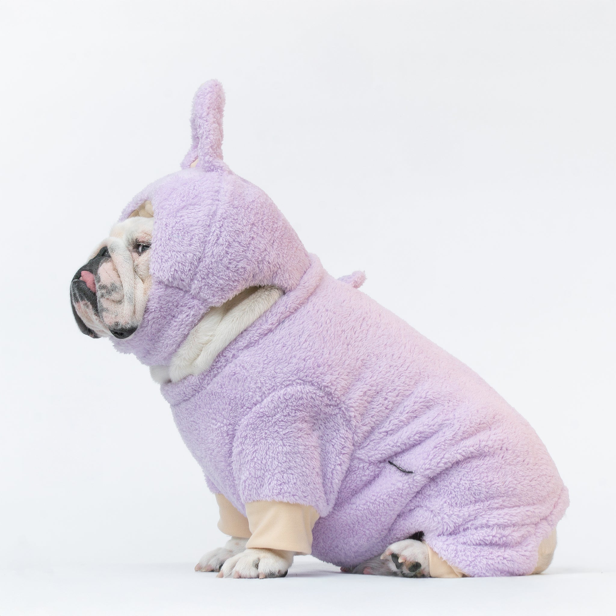 WONTON LaBully in purple