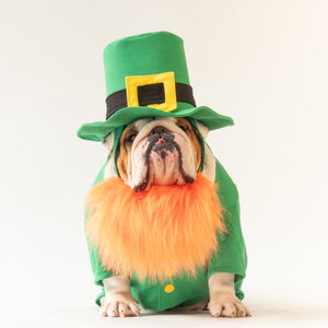 WONTON Leprechaun costume