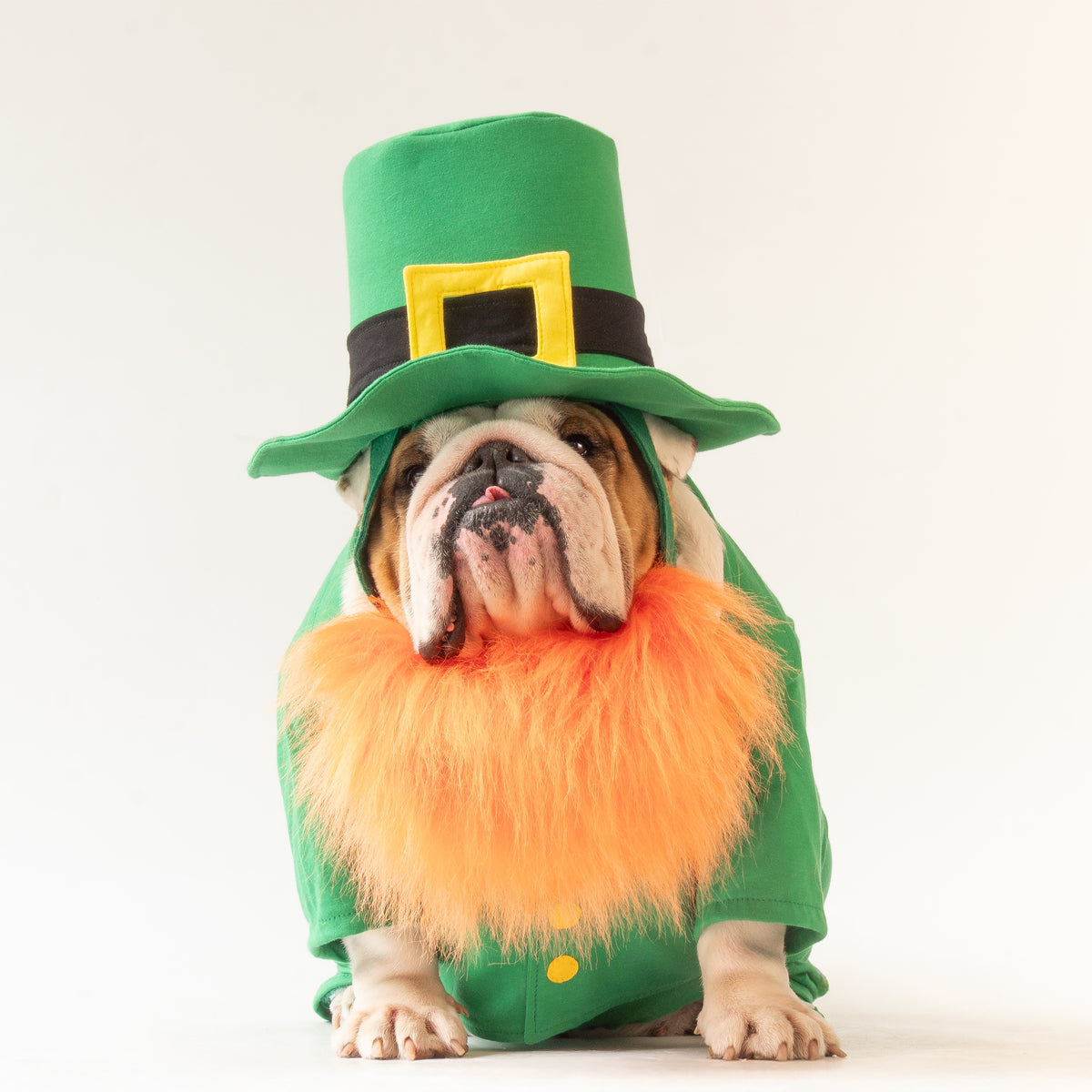 WONTON Leprechaun costume