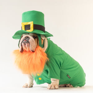 WONTON Leprechaun costume