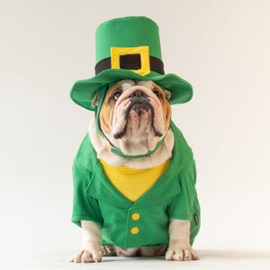 WONTON Leprechaun costume