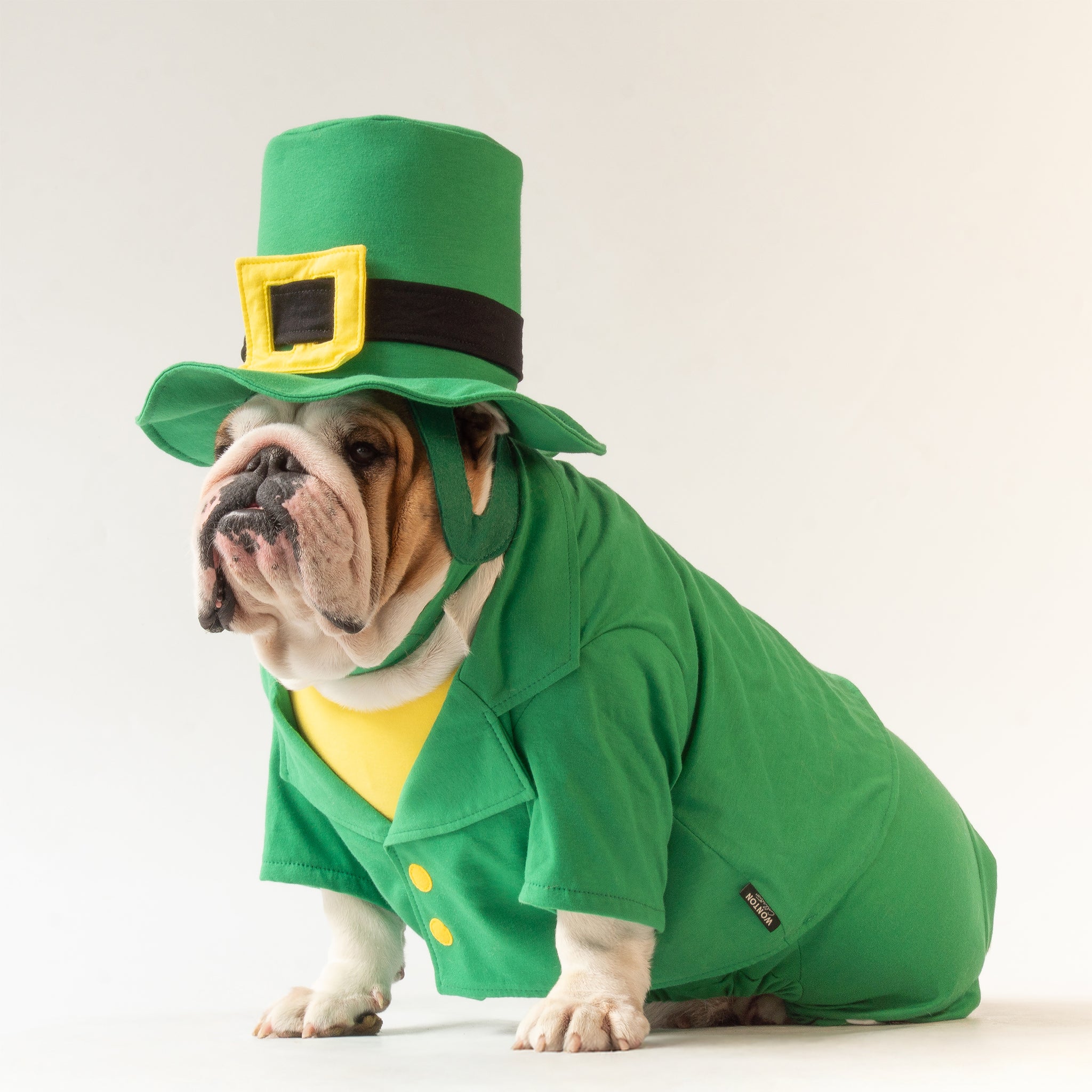 WONTON Leprechaun costume