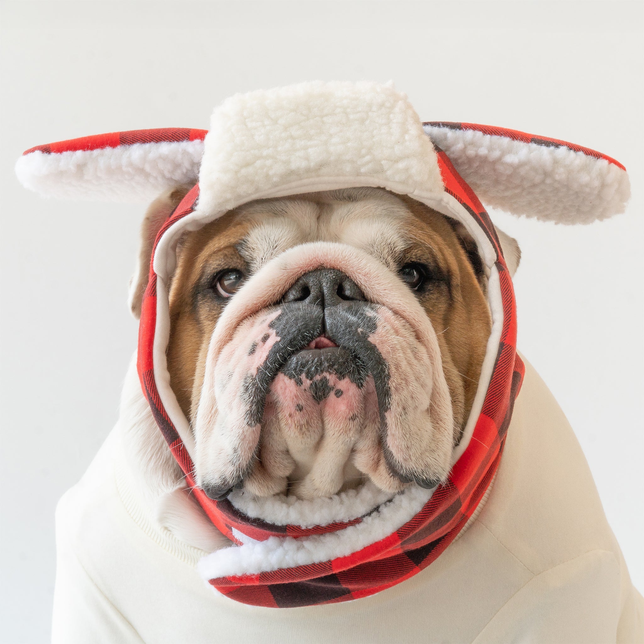 WONTON Winter Hat in red buffalo plaid