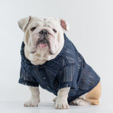 WONTON Midnight Breeze Shirt (Ultra-Breathable)