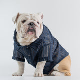 WONTON Midnight Breeze Shirt (Ultra-Breathable)