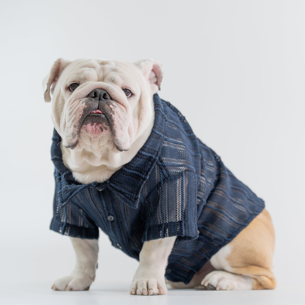 WONTON Midnight Breeze Shirt (Ultra-Breathable)