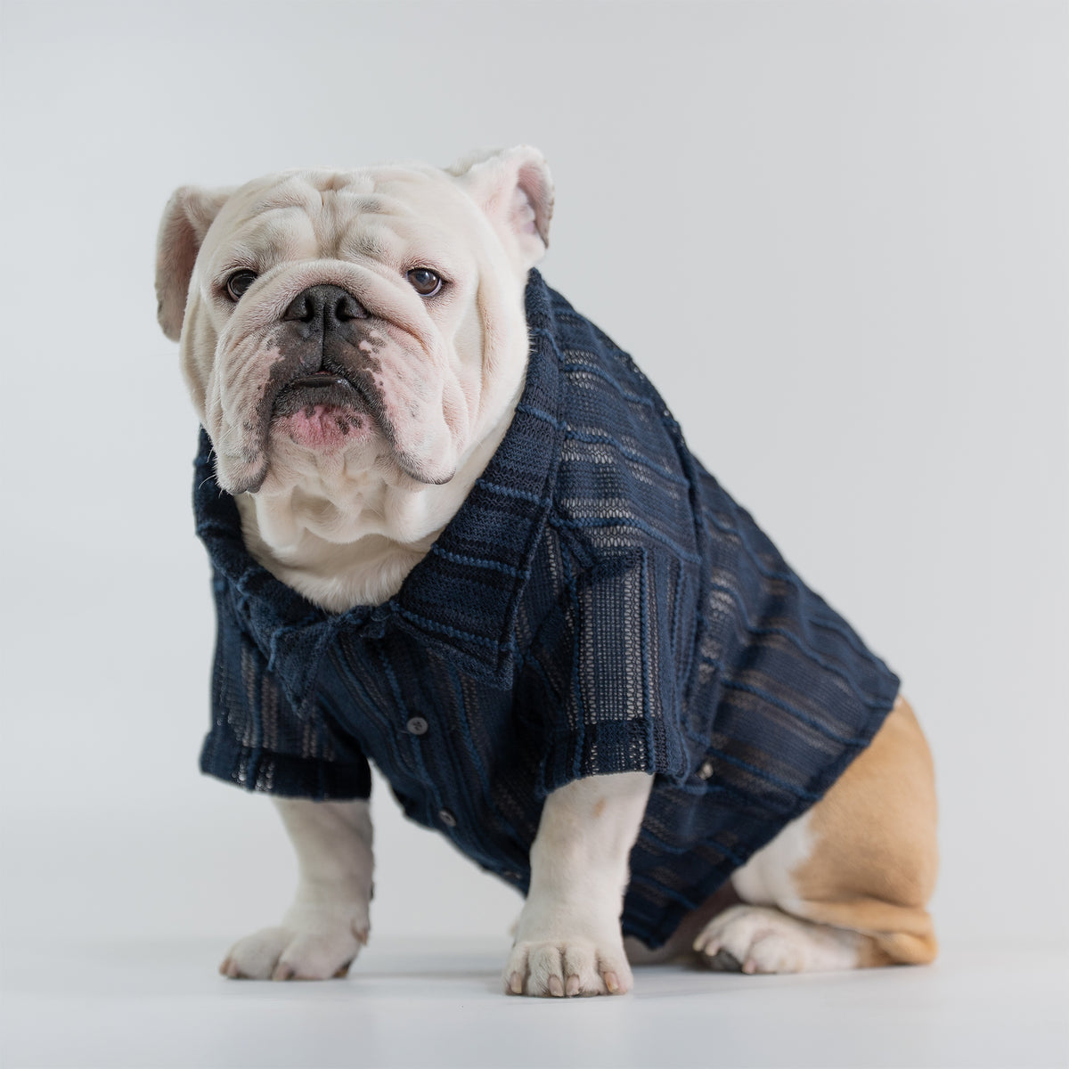 WONTON Midnight Breeze Shirt (Ultra-Breathable)