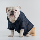 WONTON Midnight Breeze Shirt (Ultra-Breathable)