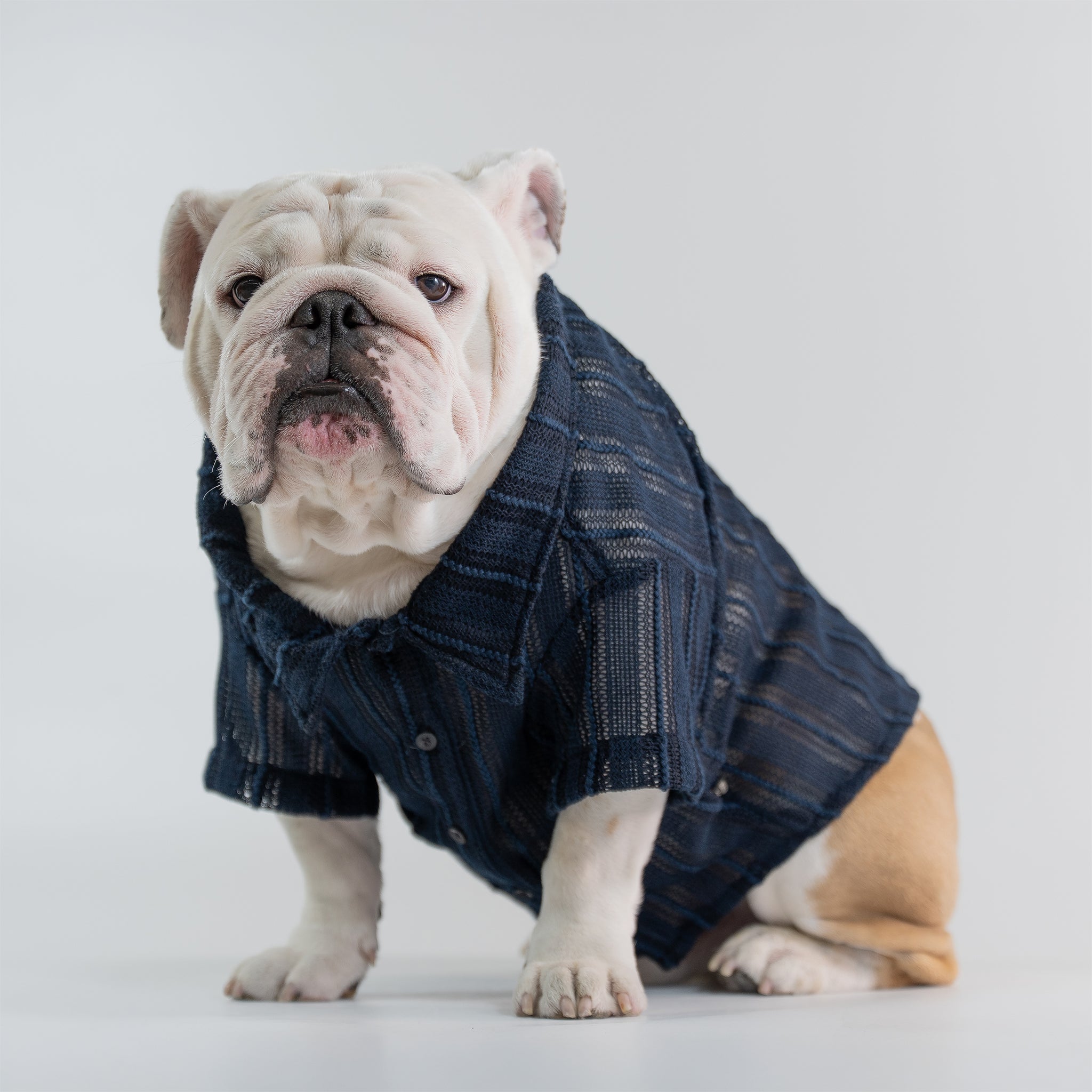 bulldogartＴシャツ WONTON Midnight Breeze Shirt (Ultra-Breathable) – Wonton Collection