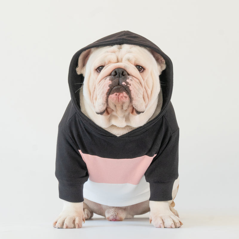 WONTON Midnight Melody hoodie