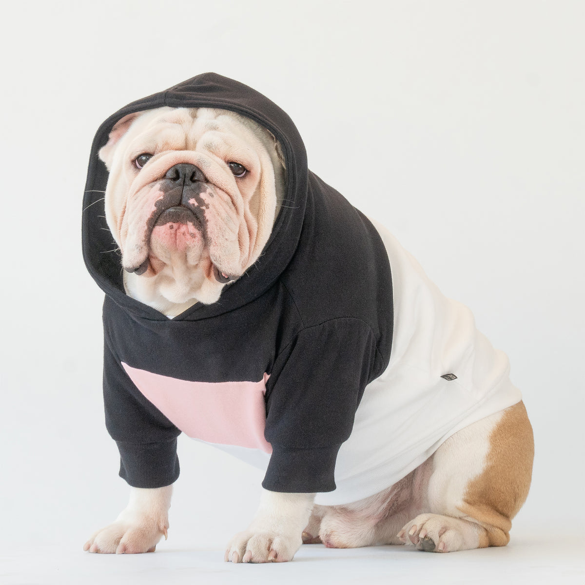 WONTON Midnight Melody hoodie