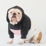 WONTON Midnight Melody hoodie