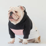 WONTON Midnight Melody hoodie