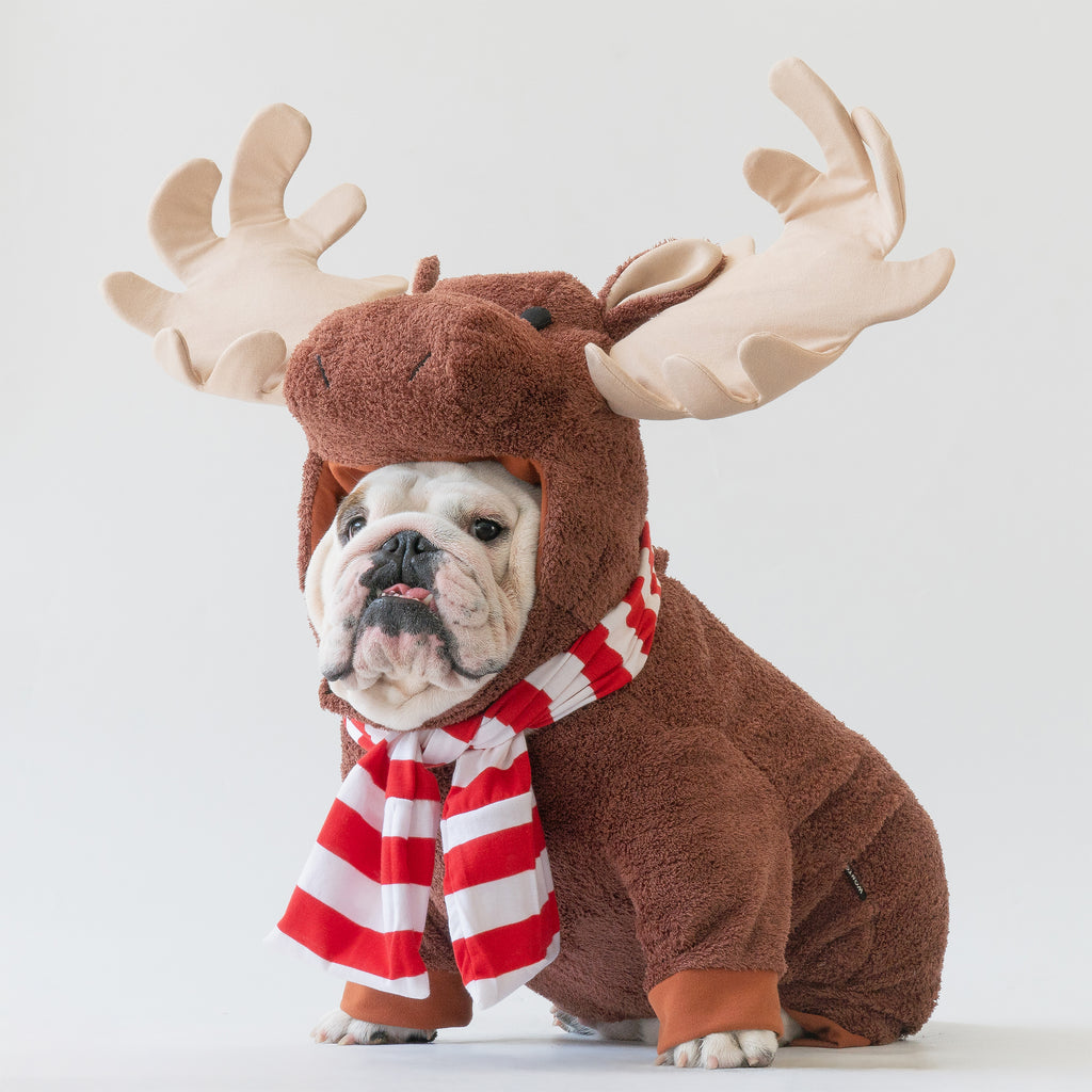 WONTON The Winter Moose costume