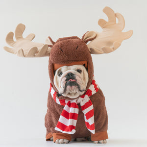 WONTON The Winter Moose costume