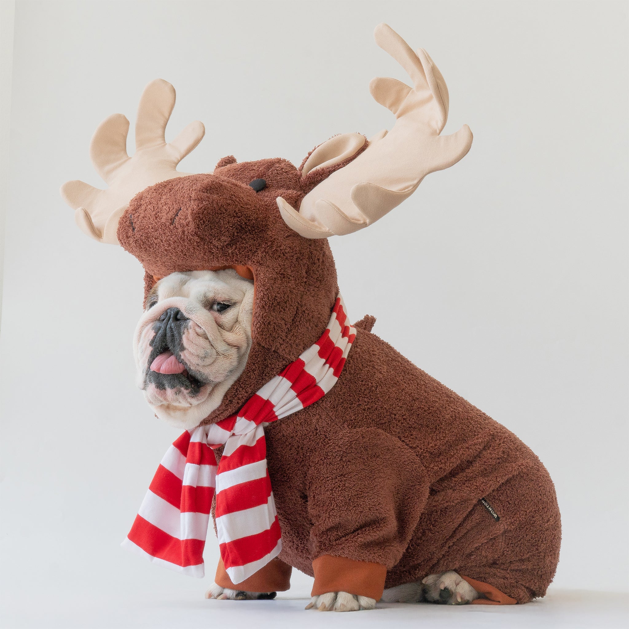 WONTON The Winter Moose costume