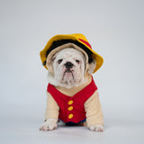 WONTON Monkey D. Woofy costume