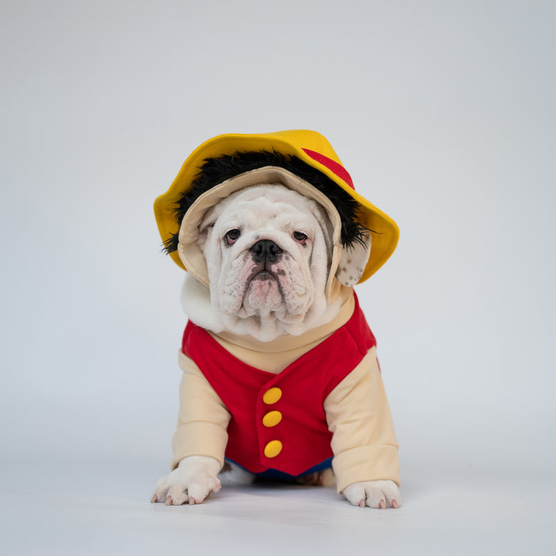 WONTON Monkey D. Woofy costume