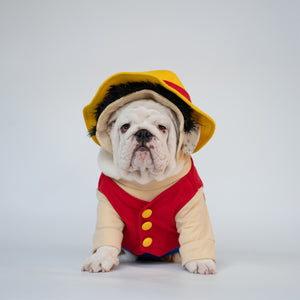 ワンタン コレクション 犬服とアクセサリーのオンラインストア