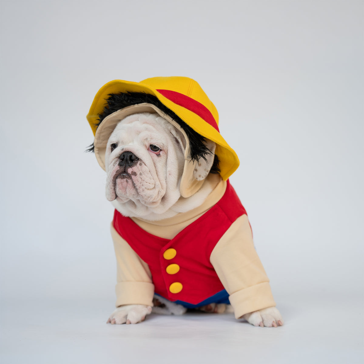 WONTON Monkey D. Woofy costume