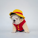 WONTON Monkey D. Woofy costume