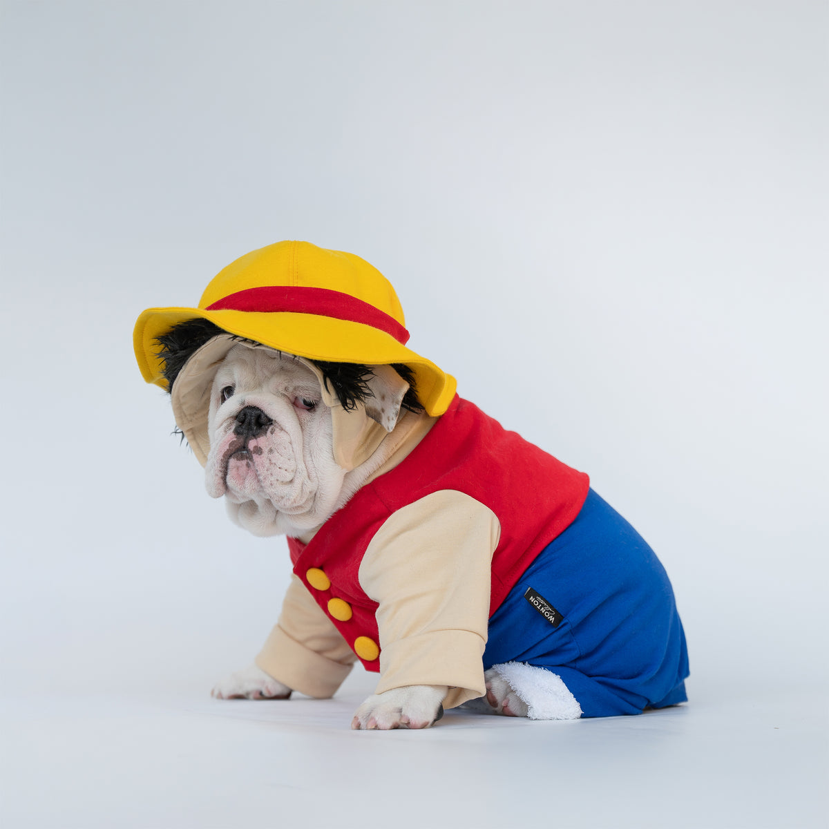 WONTON Monkey D. Woofy costume