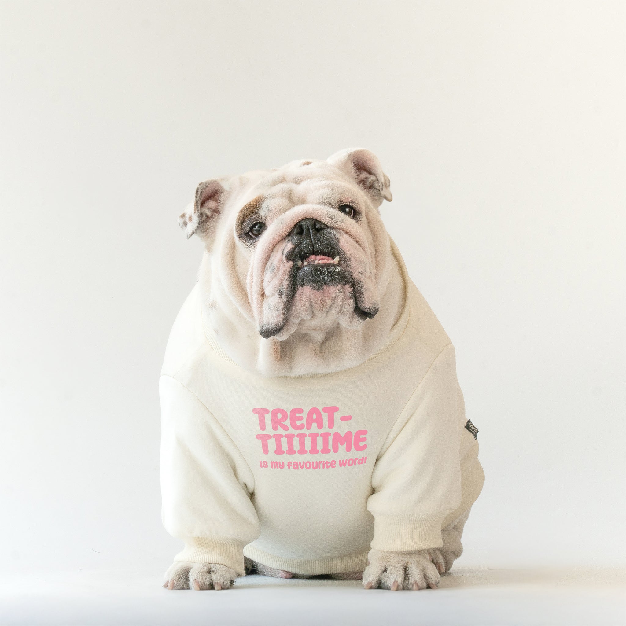 WONTON Treat Time sweater