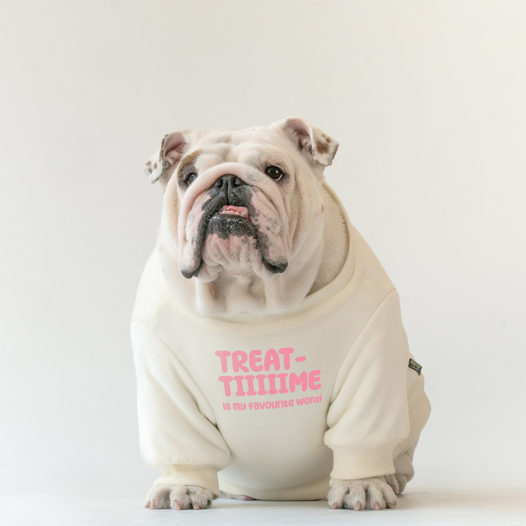 WONTON Treat Time sweater