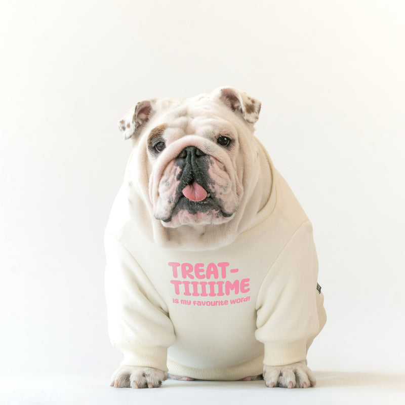 WONTON Treat Time sweater