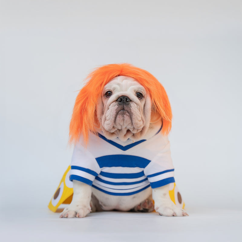 WONTON Nawmi costume