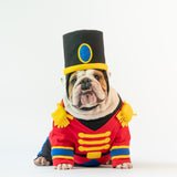 WONTON Nutcracker costume