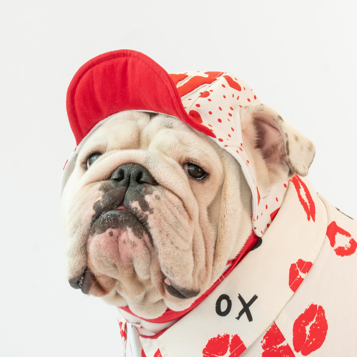 WONTON ONE CAP 2, Valentine Edition