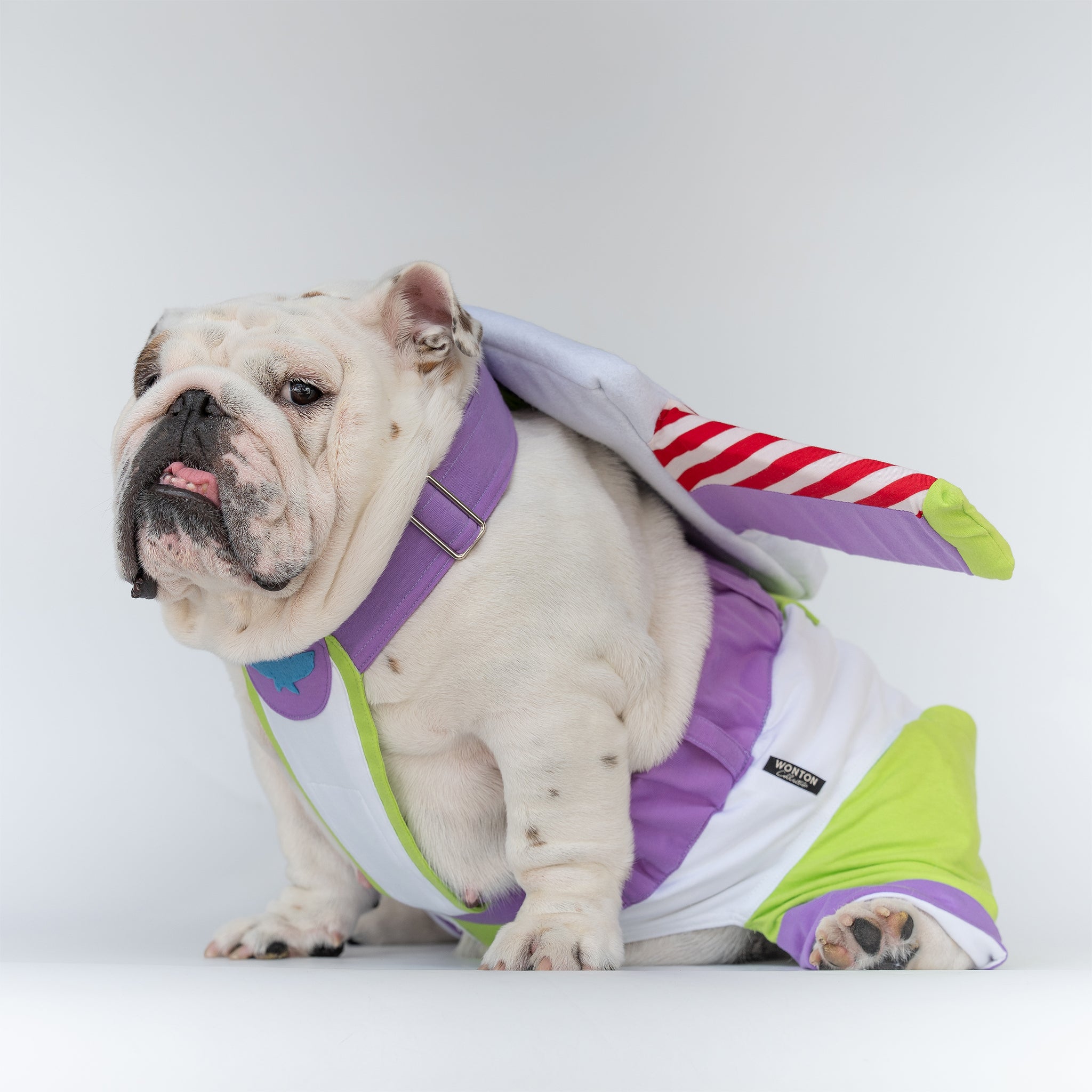 WONTON ONE PANTS 2 - Space Ranger Special Edition – Wonton Collection
