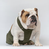WONTON ONE PANTS 2 in army green