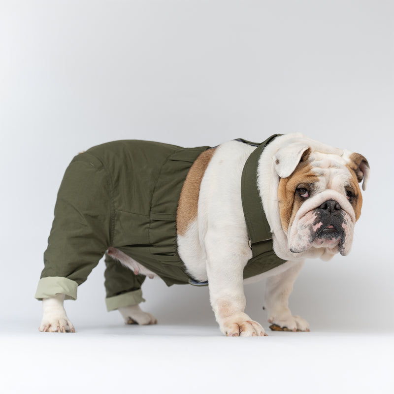WONTON ONE PANTS 2 in army green