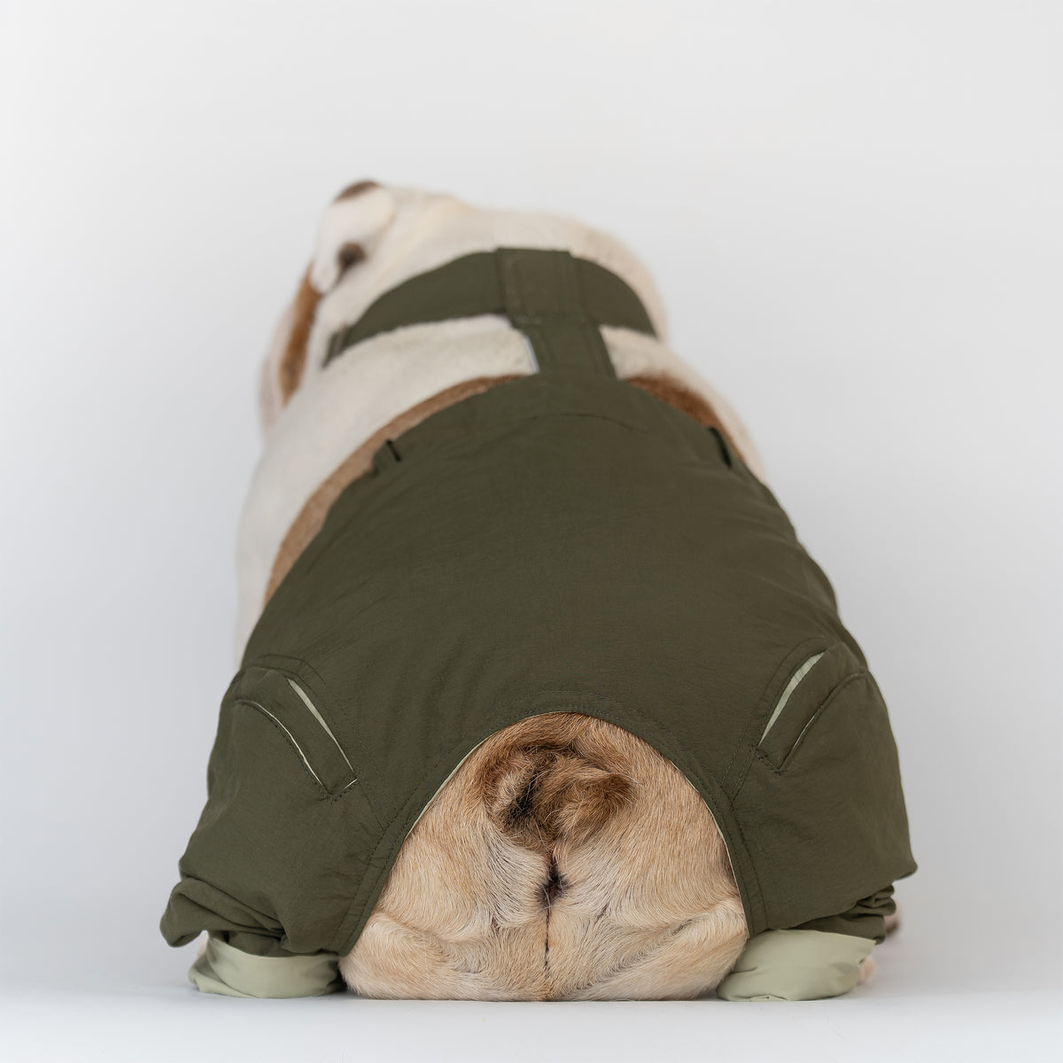 WONTON ONE PANTS 2 in army green