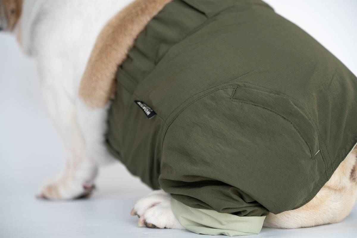 WONTON ONE PANTS 2 in army green