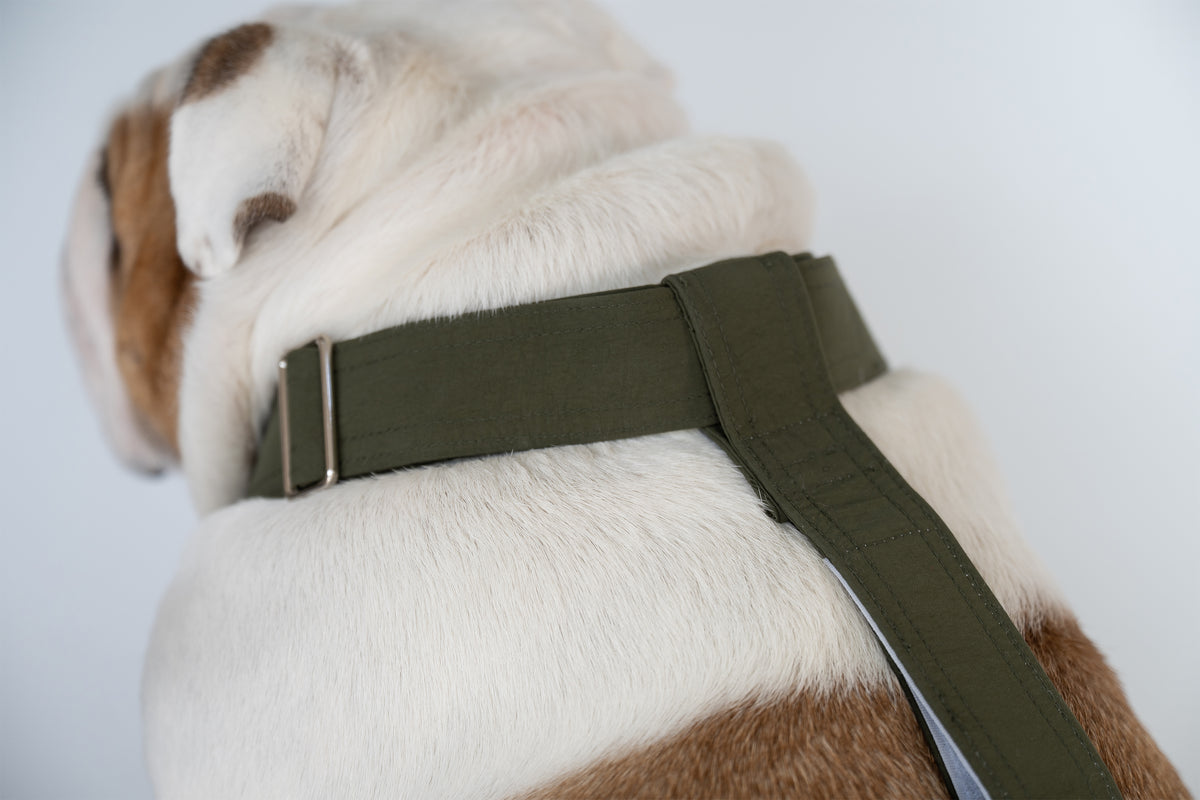 WONTON ONE PANTS 2 in army green