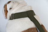 WONTON ONE PANTS 2 in army green