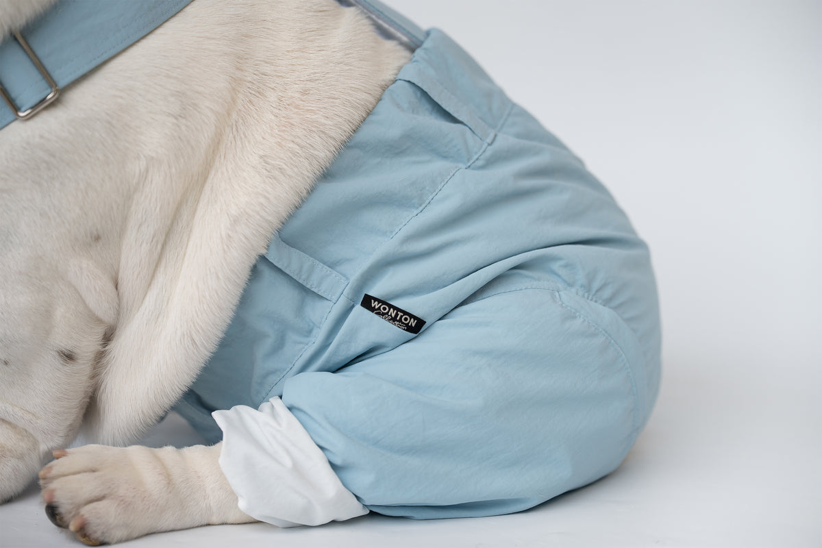WONTON ONE PANTS 2 in ice-blue