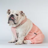 WONTON ONE PANTS 2 in ice-cream pink