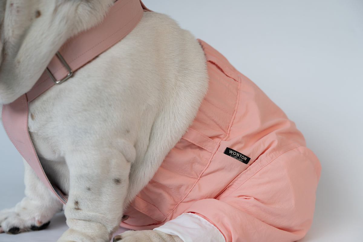 WONTON ONE PANTS 2 in ice-cream pink
